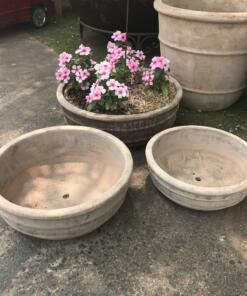 LT Antique Terracotta Low Bowl Garden Pot